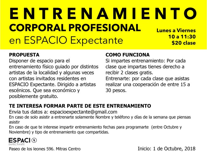 Entrenamiento Webflayer, 2018-01.jpg