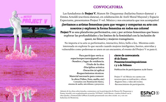 project v convocatoria-02.jpg